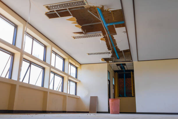  Crestwood, MO Water damage restoration Pros