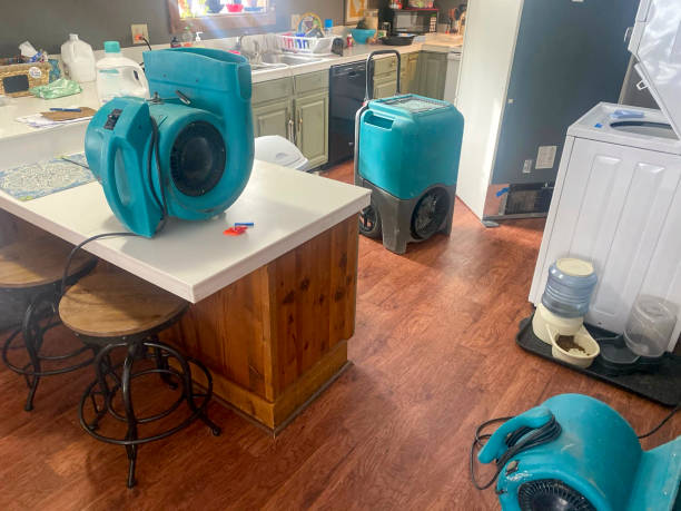 Best Water damage restoration insurance claims  in Crestwood, MO