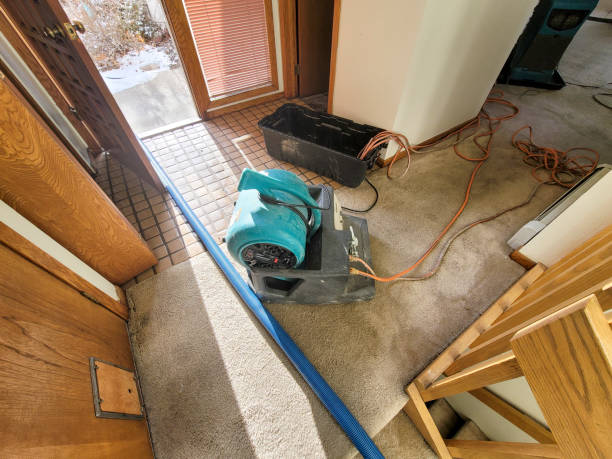 Best Residential water damage restoration  in Crestwood, MO