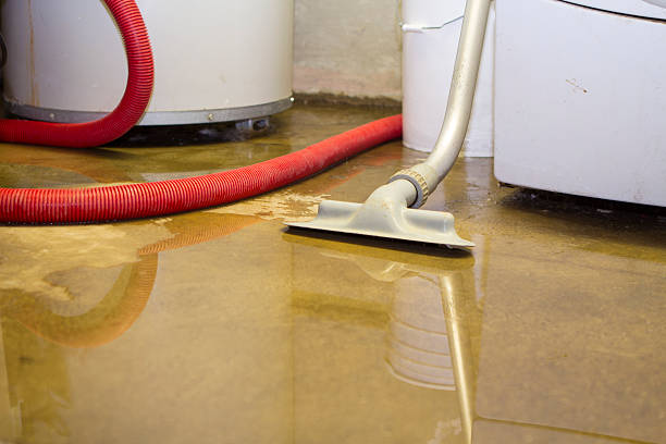 Water damage restoration experts in Crestwood, MO